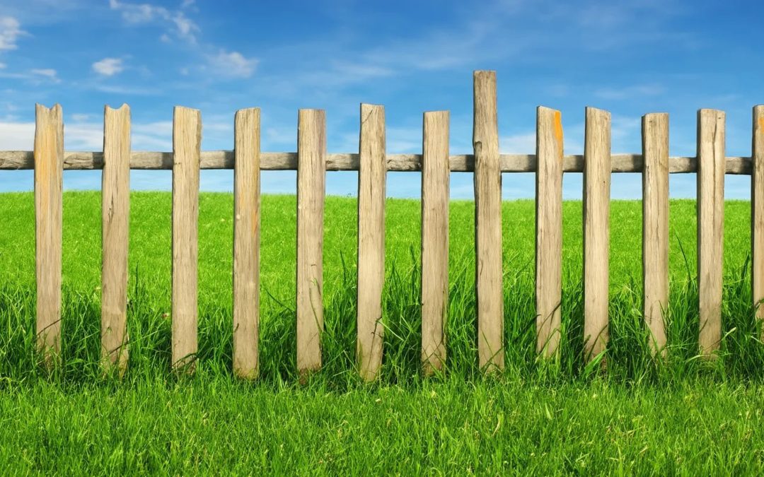 When the Grass Is Always Greener